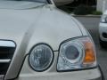 2004 Cream Gold Kia Optima EX  photo #9