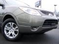 Natural Khaki Metallic - Veracruz GLS Photo No. 2
