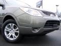 2008 Natural Khaki Metallic Hyundai Veracruz GLS  photo #2