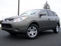 Natural Khaki Metallic - Veracruz GLS Photo No. 5