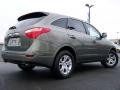 2008 Natural Khaki Metallic Hyundai Veracruz GLS  photo #7