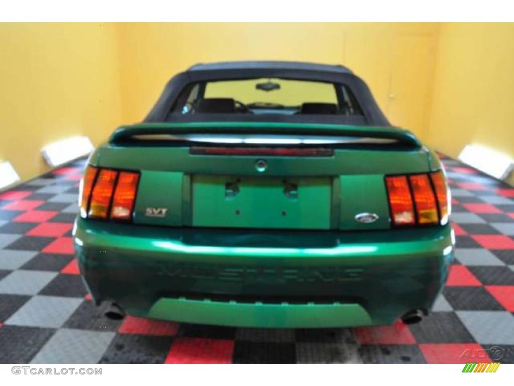 1999 Mustang SVT Cobra Convertible - Electric Green Metallic / Dark Charcoal photo #5