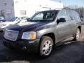 Steel Grey Metallic - Envoy Denali 4x4 Photo No. 1