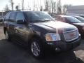 Steel Grey Metallic - Envoy Denali 4x4 Photo No. 4