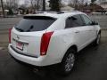 Platinum Ice Tricoat - SRX V6 Photo No. 4