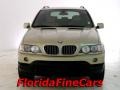 Pearl Beige Metallic - X5 4.4i Photo No. 5