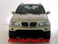 2003 Pearl Beige Metallic BMW X5 4.4i  photo #5