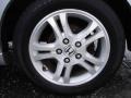 2006 Alabaster Silver Metallic Honda Accord SE Sedan  photo #11