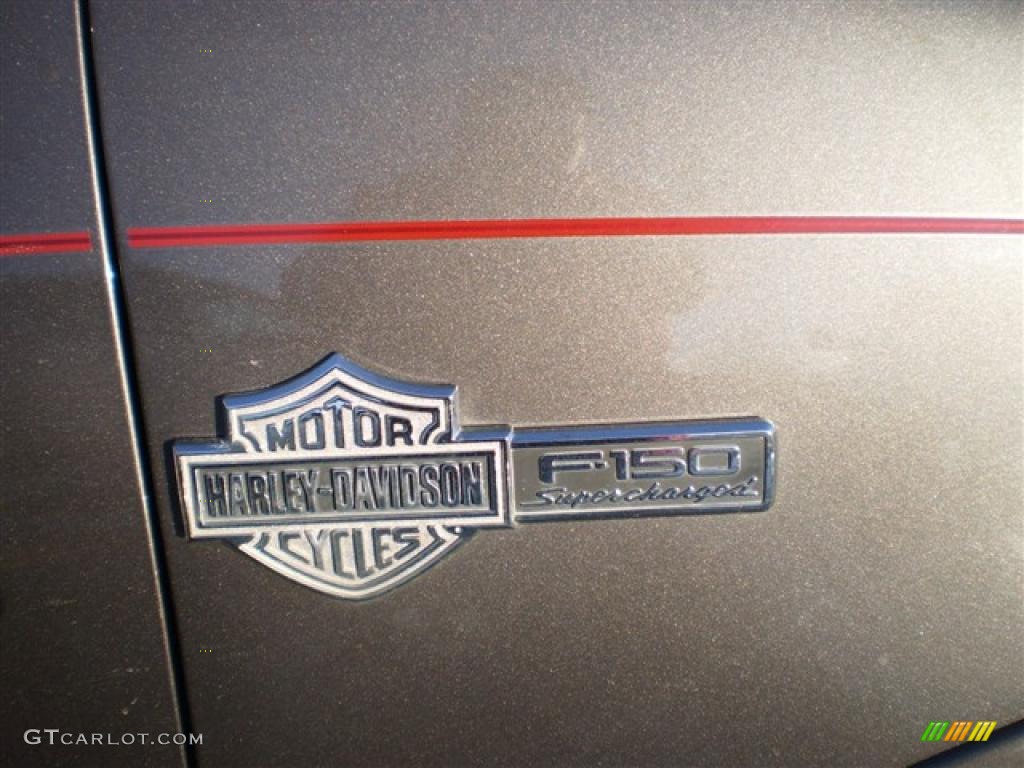 2002 F150 Harley-Davidson SuperCrew - Dark Shadow Grey Metallic / Black/Grey photo #5