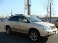 Savannah Metallic - RX 400h AWD Hybrid Photo No. 3