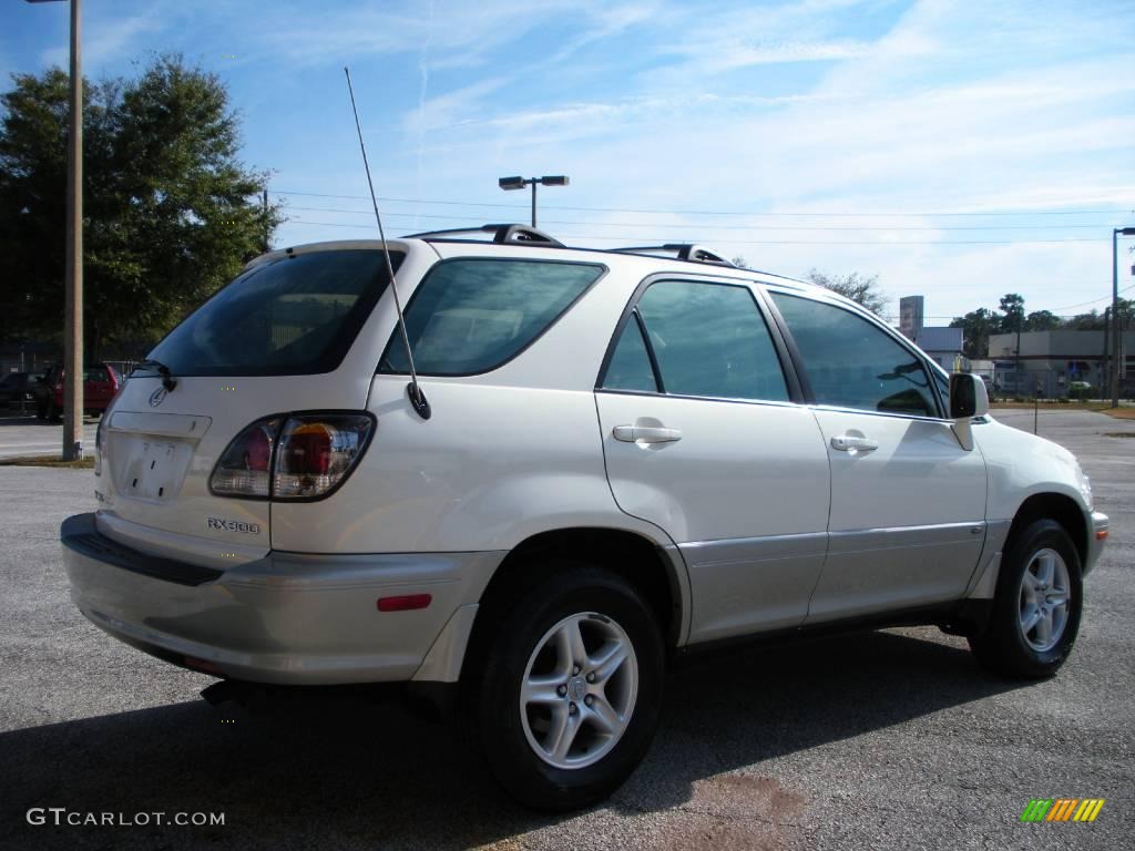 2001 RX 300 - White Gold Crystal / Ivory photo #5