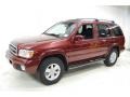 2001 Burnt Cherry Red Pearl Nissan Pathfinder LE  photo #12