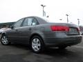 Willow Gray - Sonata GLS Photo No. 4
