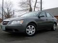 Willow Gray - Sonata GLS Photo No. 5