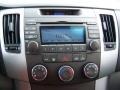 2009 Bright Silver Hyundai Sonata GLS  photo #17