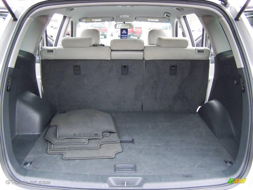 2009 Santa Fe GLS - Bright Silver / Gray photo #12