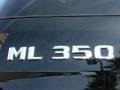 2010 Black Mercedes-Benz ML 350 4Matic  photo #9