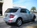 Iridium Silver Metallic - ML 350 Photo No. 6