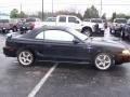 Black - Mustang SVT Cobra Convertible Photo No. 7