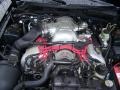 Black - Mustang SVT Cobra Convertible Photo No. 16