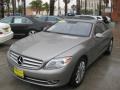 Pewter Metallic - CL 550 Photo No. 6