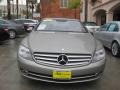 Pewter Metallic - CL 550 Photo No. 7