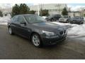 2009 Platinum Grey Metallic BMW 5 Series 528i Sedan  photo #1