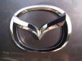 Titanium Gray Metallic - RX-8  Photo No. 45