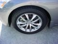 Platinum Graphite Metallic - G 35 Sedan Photo No. 14