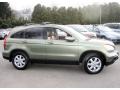 2007 Green Tea Metallic Honda CR-V EX-L 4WD  photo #4