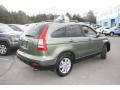 2007 Green Tea Metallic Honda CR-V EX-L 4WD  photo #5