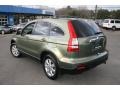 2007 Green Tea Metallic Honda CR-V EX-L 4WD  photo #8