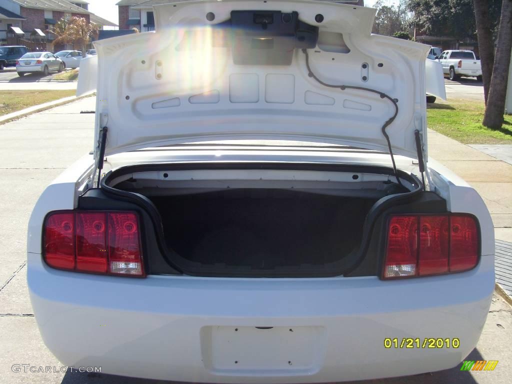 2005 Mustang V6 Premium Convertible - Performance White / Light Graphite photo #5