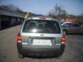 2006 Titanium Green Metallic Ford Escape XLS 4WD  photo #3