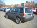 2006 Titanium Green Metallic Ford Escape XLS 4WD  photo #4