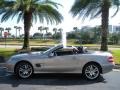 2007 Pewter Metallic Mercedes-Benz SL 550 Roadster  photo #13