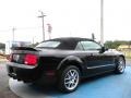 2008 Black Ford Mustang Shelby GT500 Convertible  photo #5