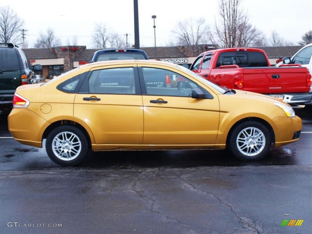 Amber Gold Metallic Ford Focus