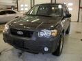 2007 Dark Stone Metallic Ford Escape XLT  photo #1