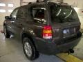 2007 Dark Stone Metallic Ford Escape XLT  photo #3