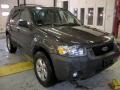 2007 Dark Stone Metallic Ford Escape XLT  photo #7