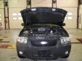 2007 Dark Stone Metallic Ford Escape XLT  photo #21