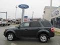 2009 Sterling Grey Metallic Ford Escape XLT 4WD  photo #2