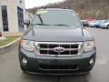 2009 Sterling Grey Metallic Ford Escape XLT 4WD  photo #4