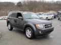 2009 Sterling Grey Metallic Ford Escape XLT 4WD  photo #5