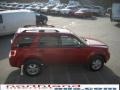 2010 Sangria Red Metallic Ford Escape XLT V6 4WD  photo #5