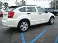 Stone White - Caliber SXT Photo No. 6