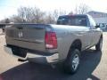 2010 Mineral Gray Metallic Dodge Ram 2500 SLT Regular Cab 4x4  photo #5