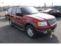 Redfire Metallic - Expedition XLT 4x4 Photo No. 3