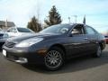 2004 Graphite Metallic Lexus ES 330 #25062828